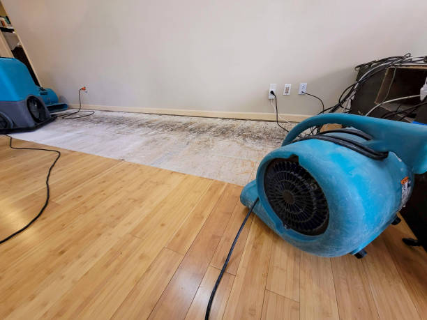 Professional Water Damage Repair technician working in Valley Cottage, NY